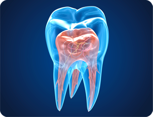 Endodontia